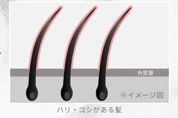 シャンプー スカルプD きしむ