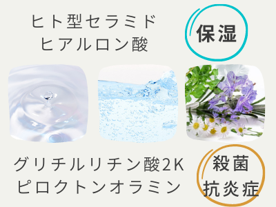 シャンプー ホロベル コンディショナー トリートメント