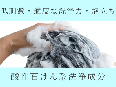 シャンプー ホロベル 酸性石けん