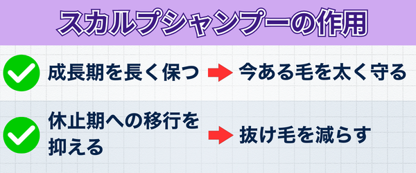 スカルプシャンプーの作用