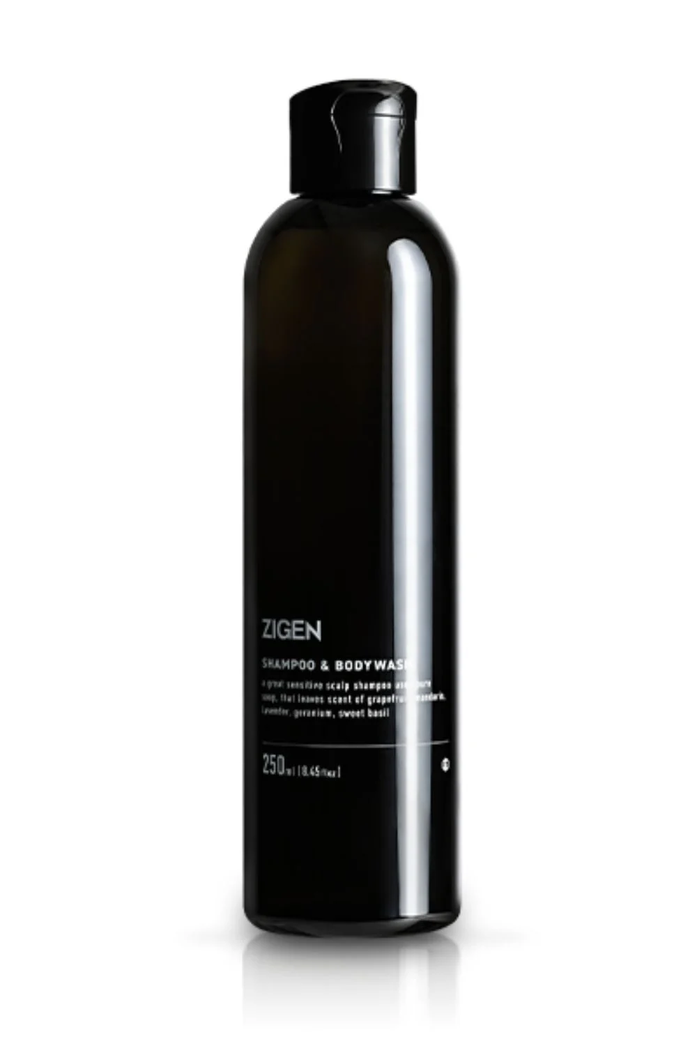 ZIGEN